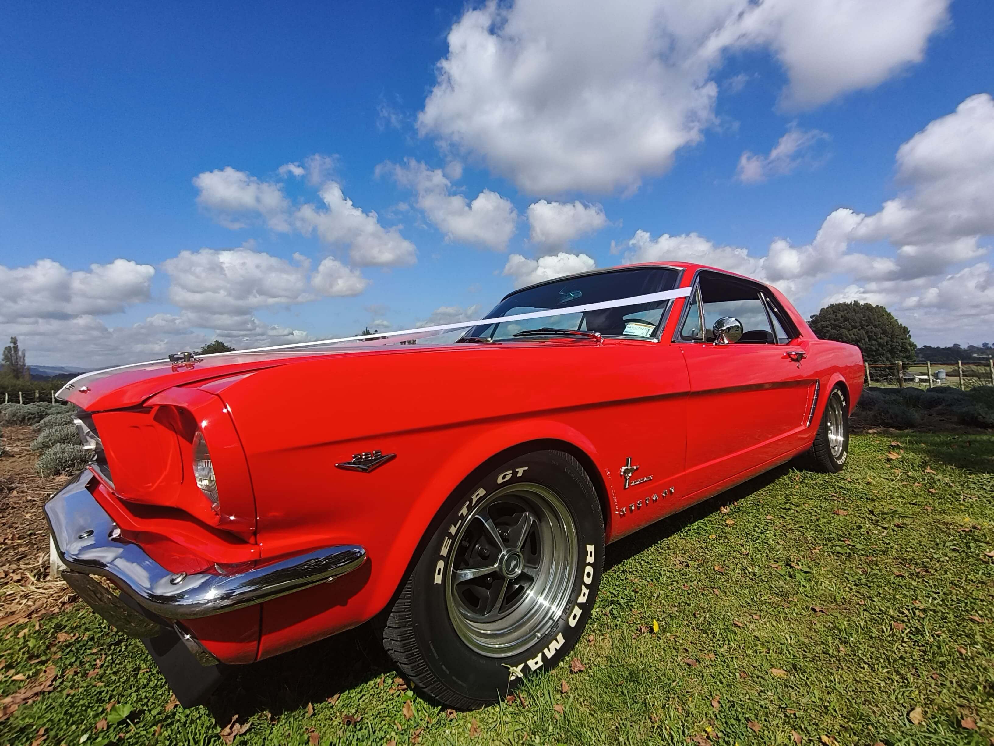 1964½ Ford Mustang classic muscle car available for scenic tours and special occasions in Waikato