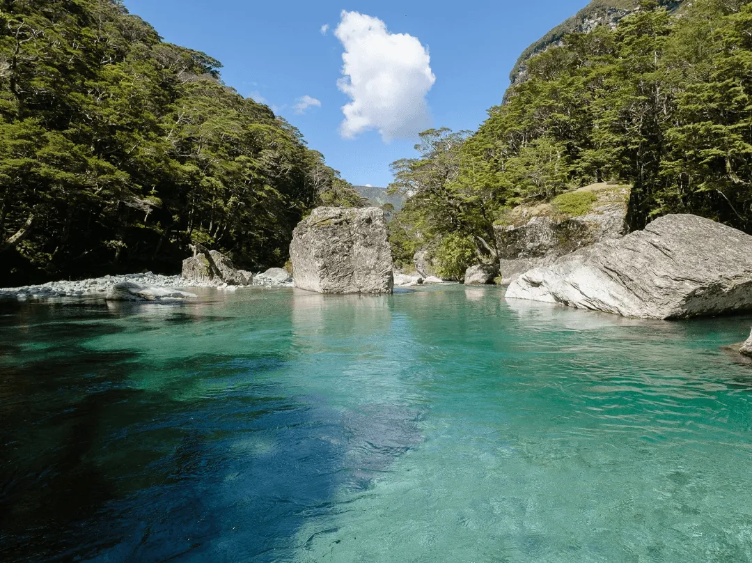 Te Waihou Blue Springs in Waikato visited on a Classic Car Tours scenic tour
