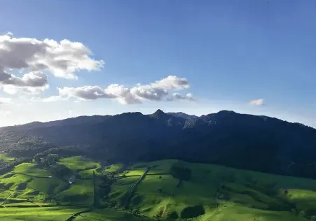 Scenic view of Sanctuary Mountain Maungatautari in Waikato visited on a Classic Car Tours experience