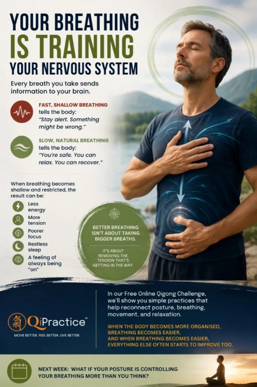  Your Breathing Is Training Your Nervous System