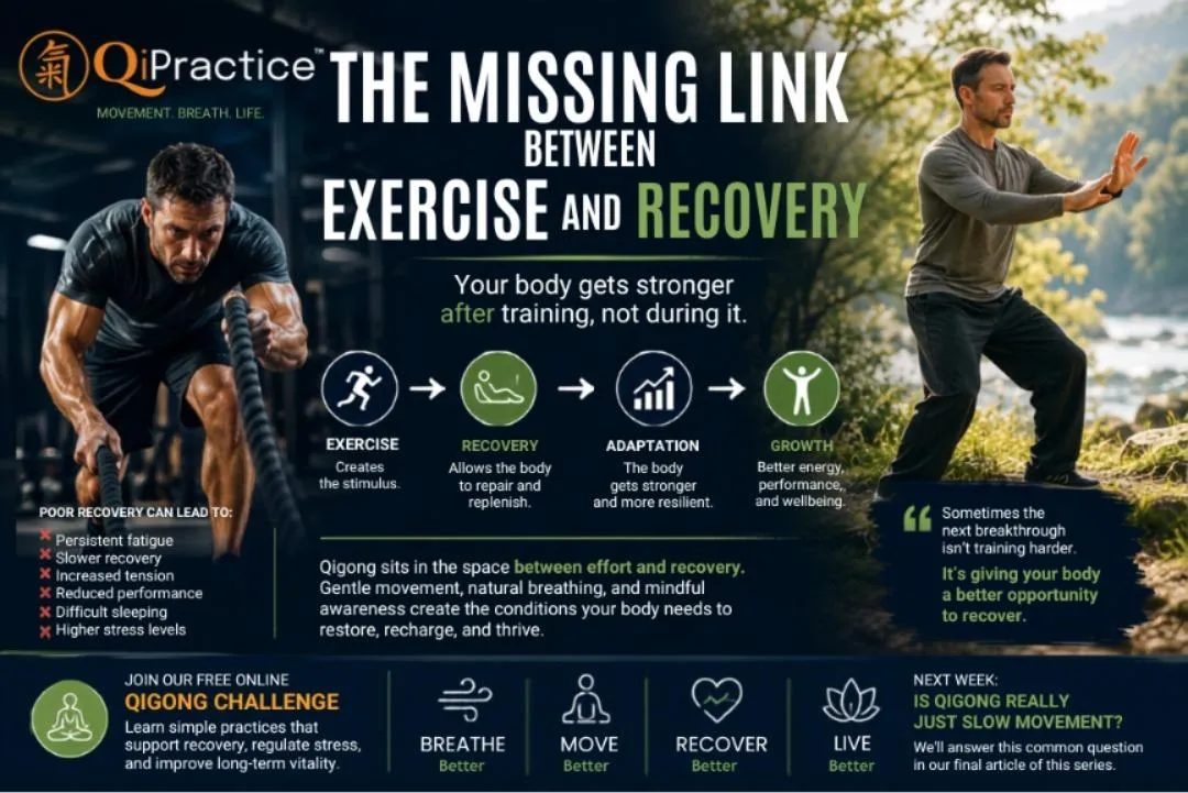 The Missing Link Between Exercise and Recovery