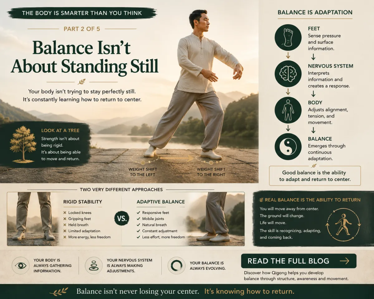 Balance Isn't About Standing Still