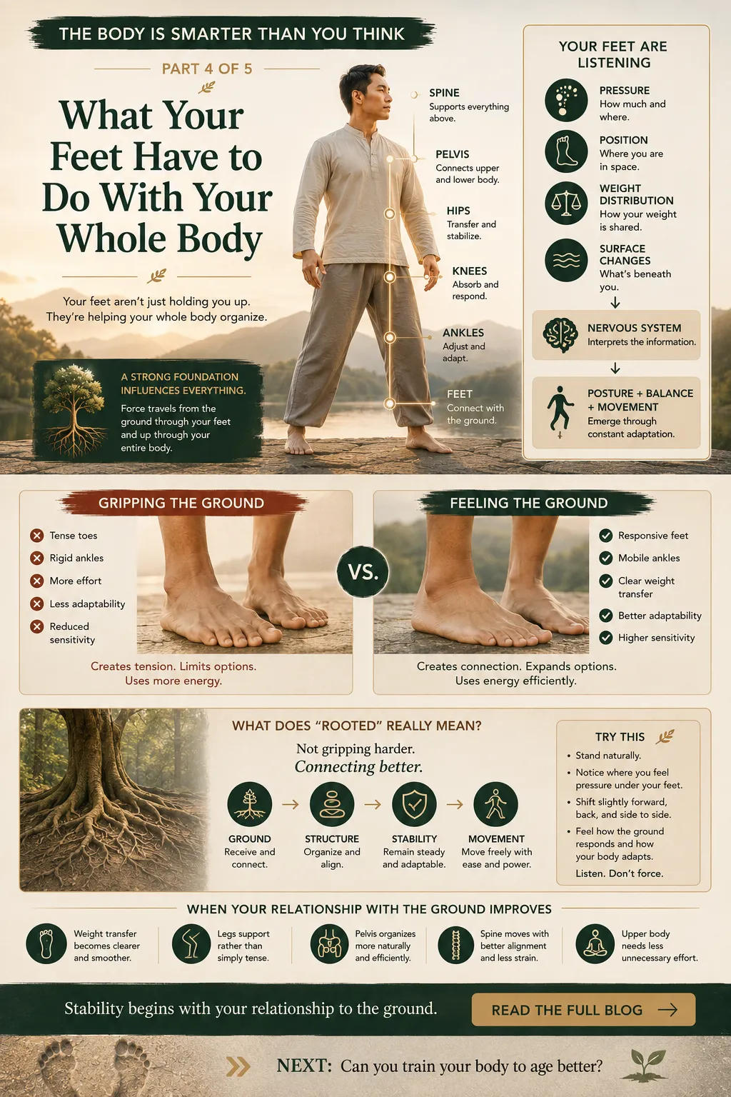What Your Feet Have to Do With Your Whole Body