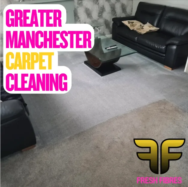 Carpet after Paul has cleaned it with the 8 step process
