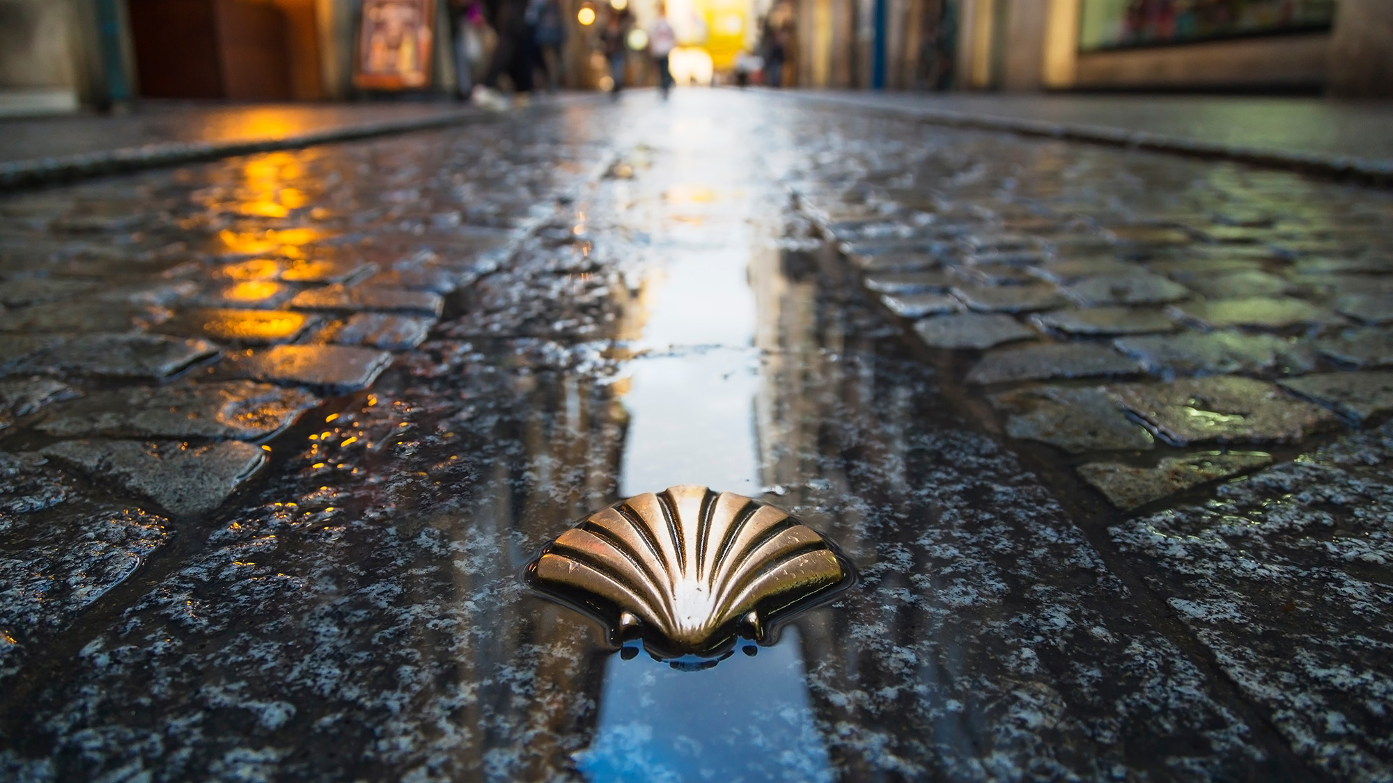 Bronze scallop shell Camino marker in a rain-darkened cobbled street