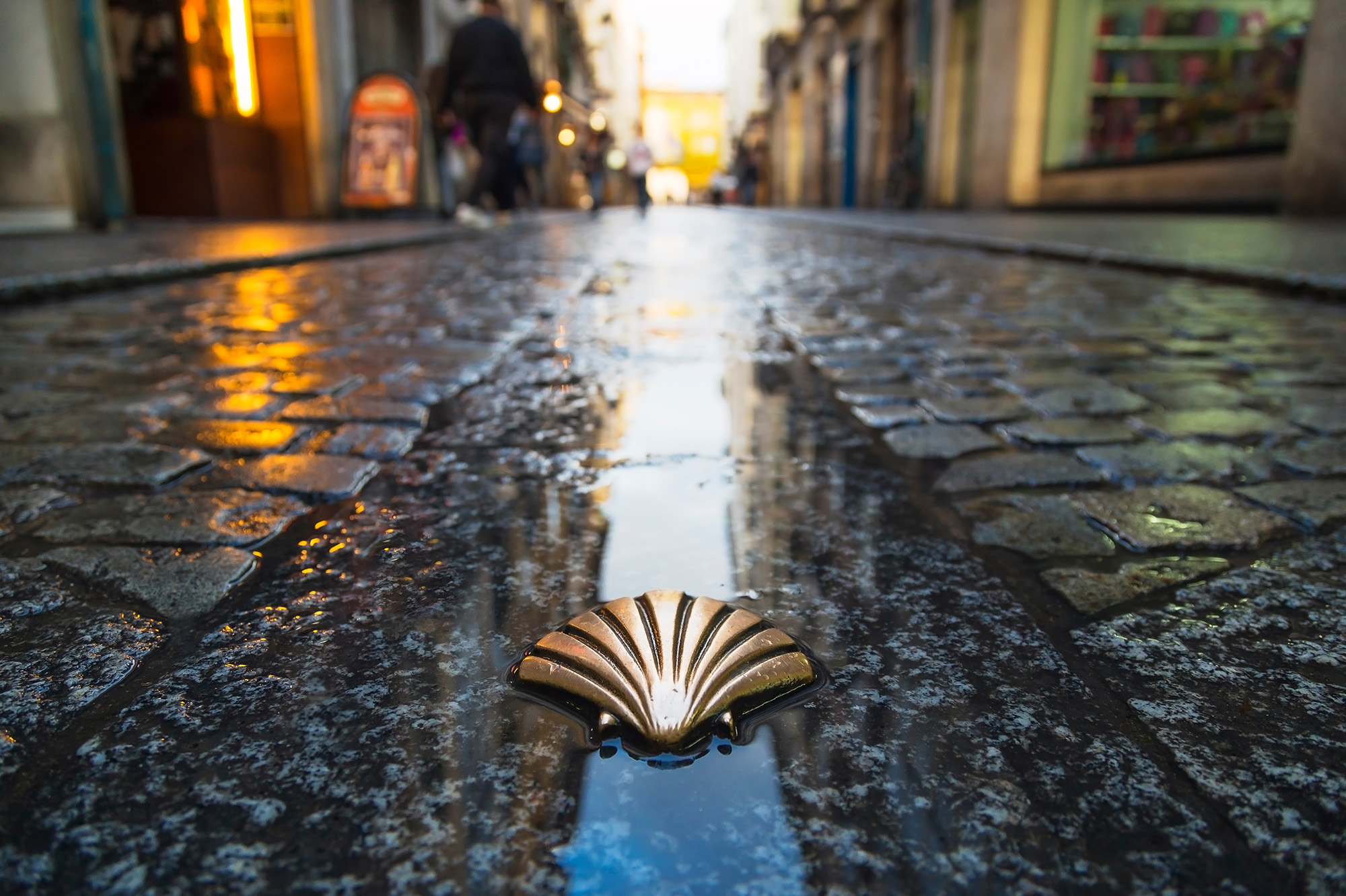 Bronze scallop shell Camino marker in a rain-darkened cobbled street