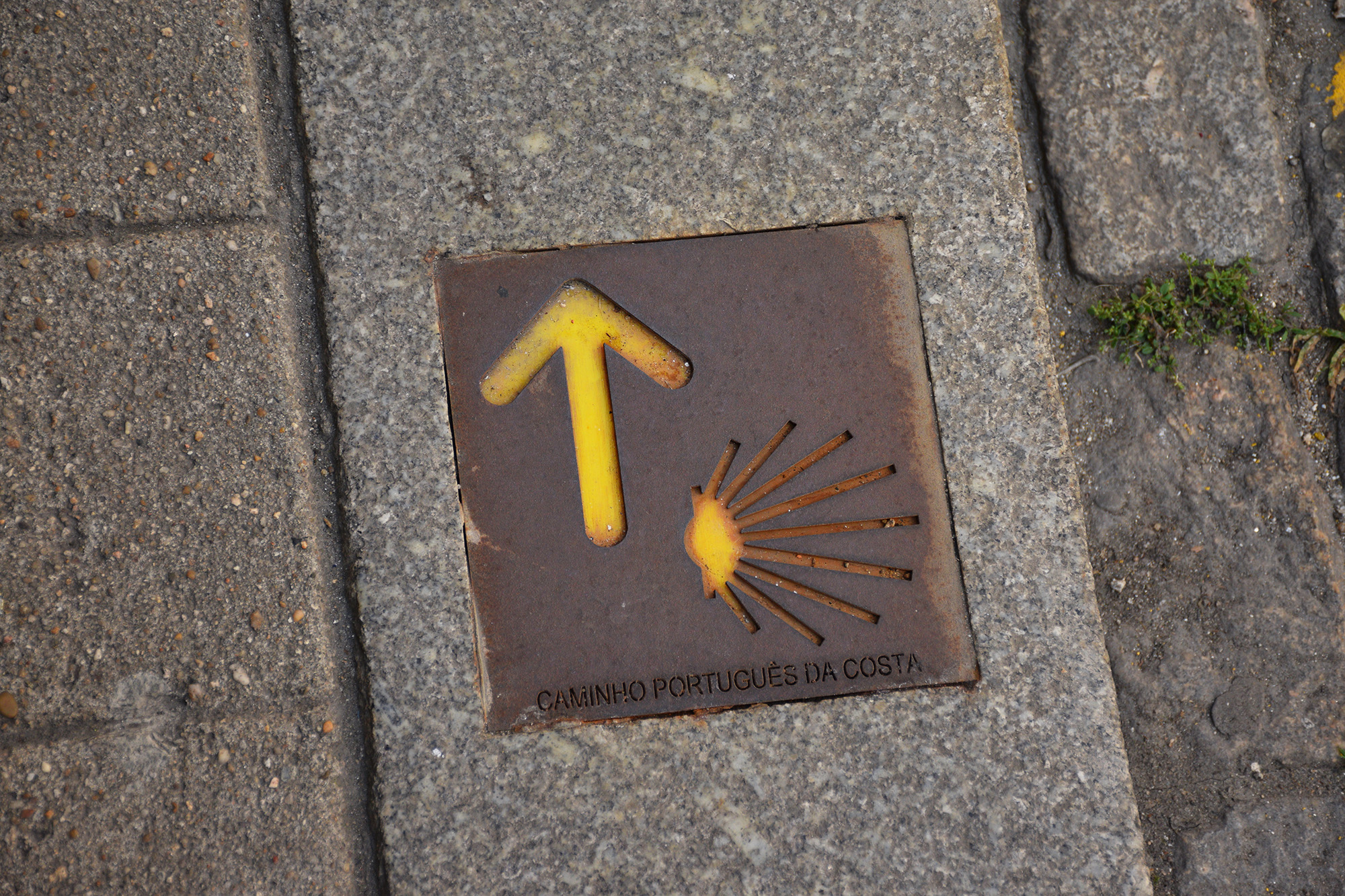 Portuguese Coastal Way marker with yellow arrow and scallop shell set into the pavement