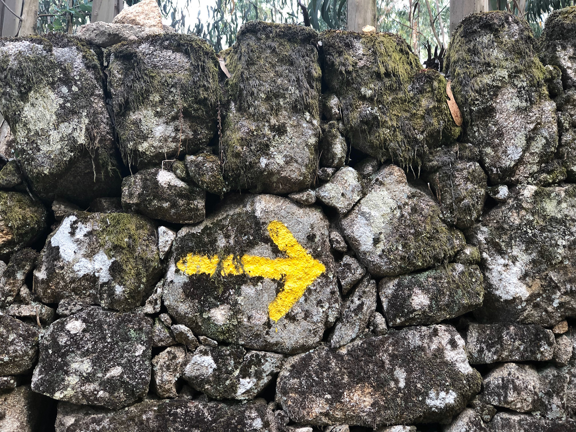 Yellow Camino arrow painted on a mossy stone wall
