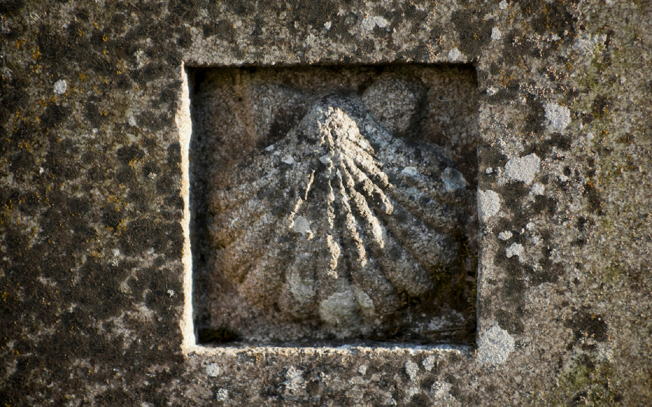 Scallop Shell Symbolism on the Camino de Santiago