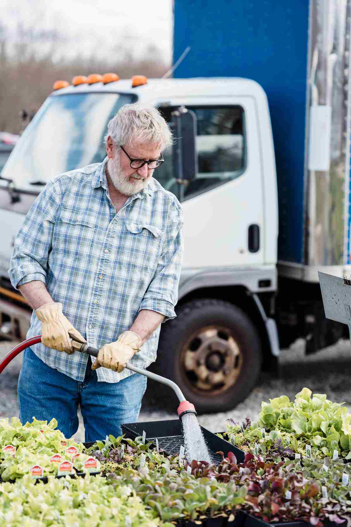 Older man in work gloves watering trays of seedlings beside his work truck at a landscaping nursery