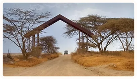 African Safaris