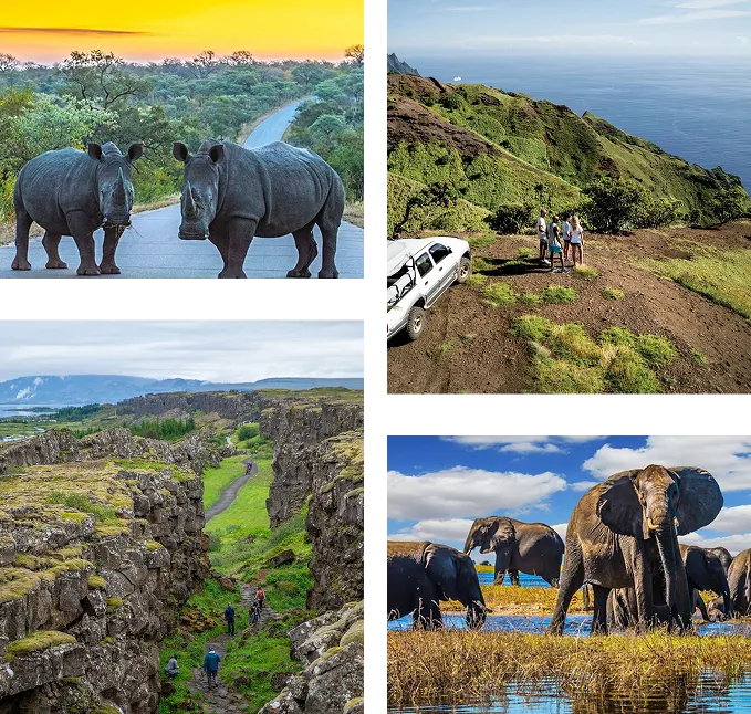 Safaris and Active Adventures