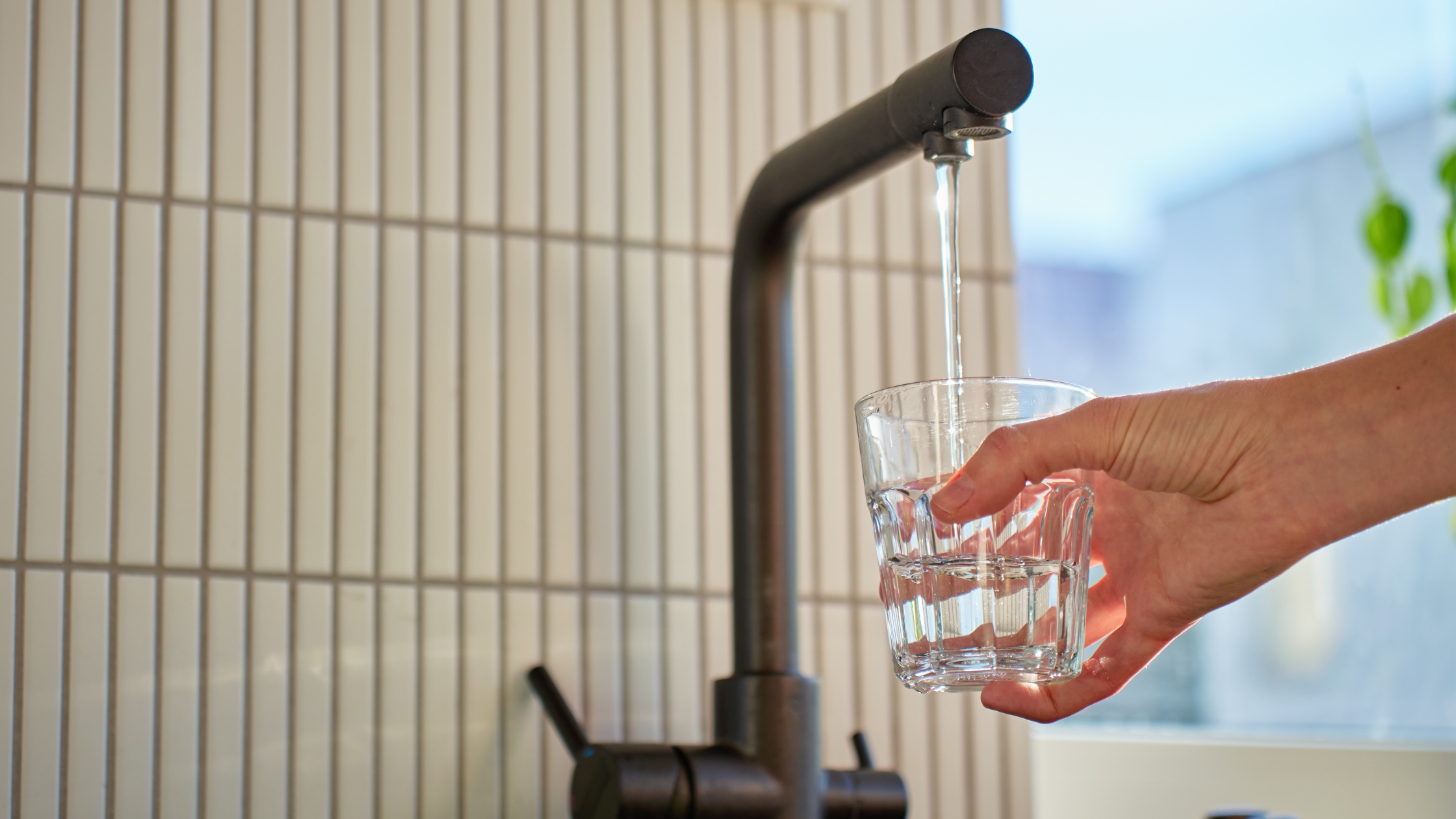 Water Filtration Solutions in Halls Head
