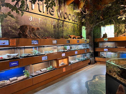 dent repair for your vehicle