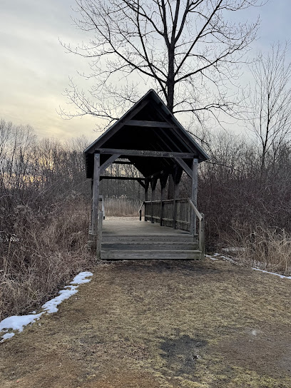 same-day dent repair service