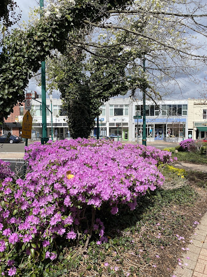 small dent repair Branford