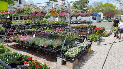 door ding repair Branford