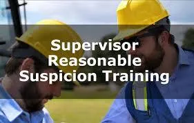 three clear beakers placed on tabletop