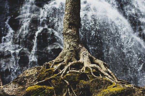 Zach Reiner / Unsplash