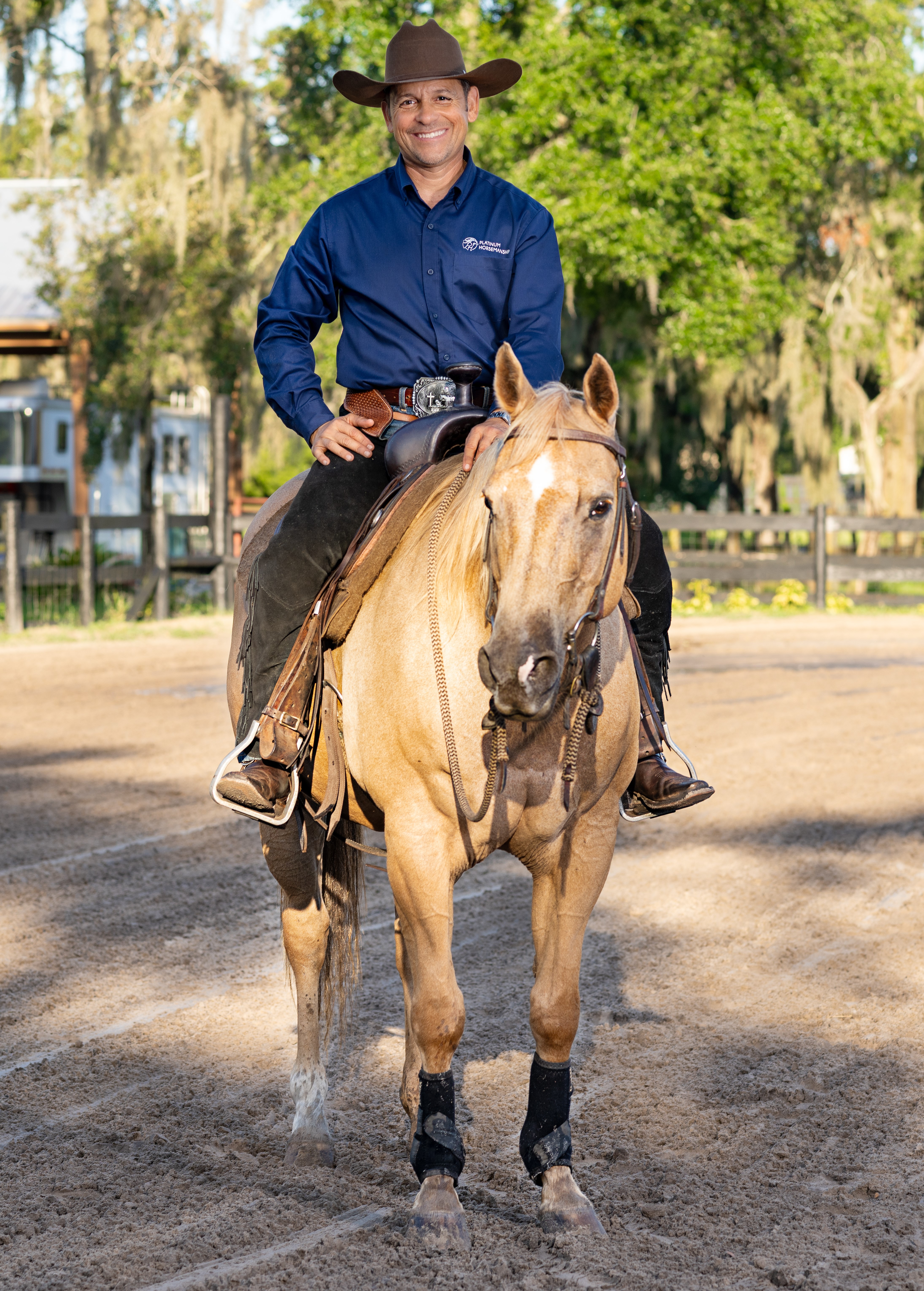 Abel, Platinum Horsemanship Trainer