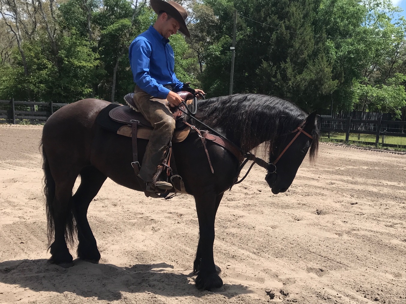 Equestrian training facility shot 7