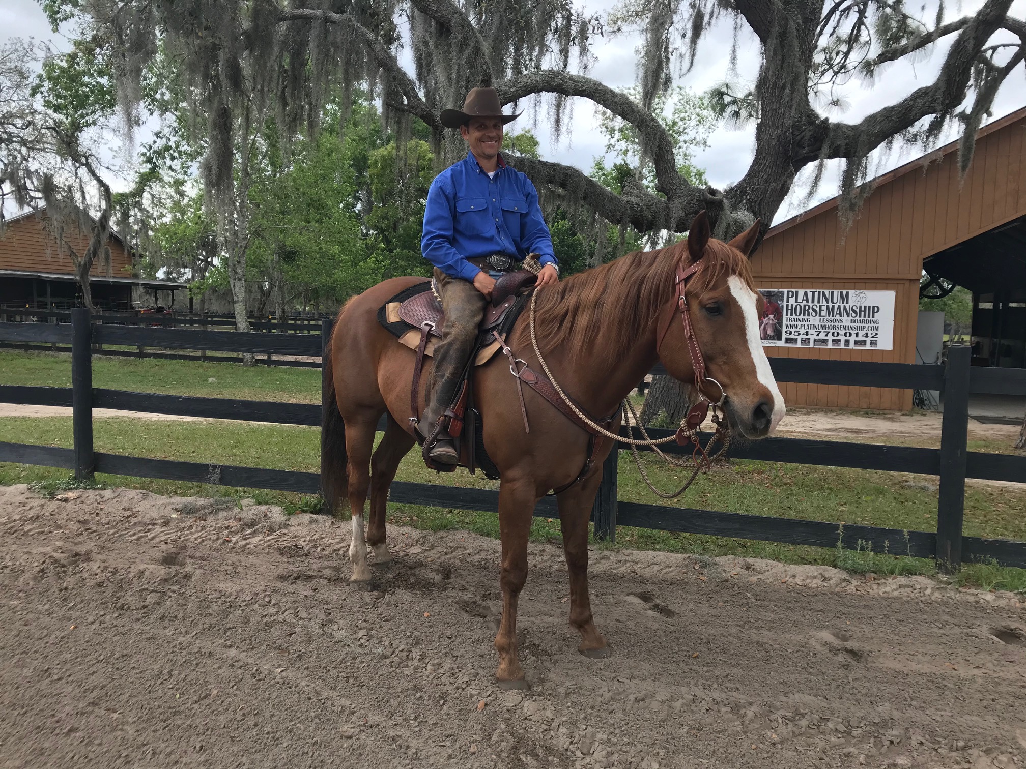 Equestrian training facility shot 6