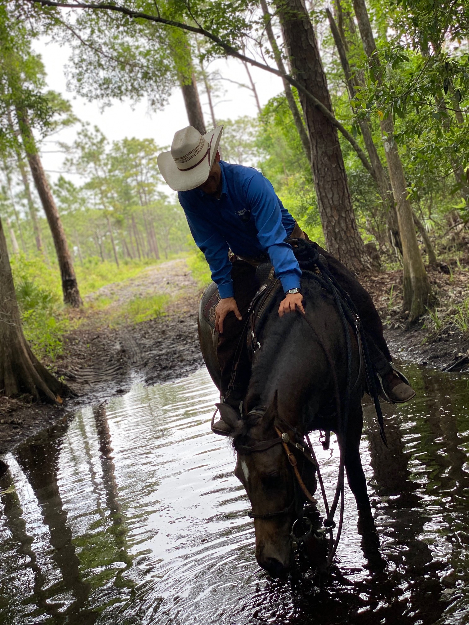 Abel Chirino horsemanship 4