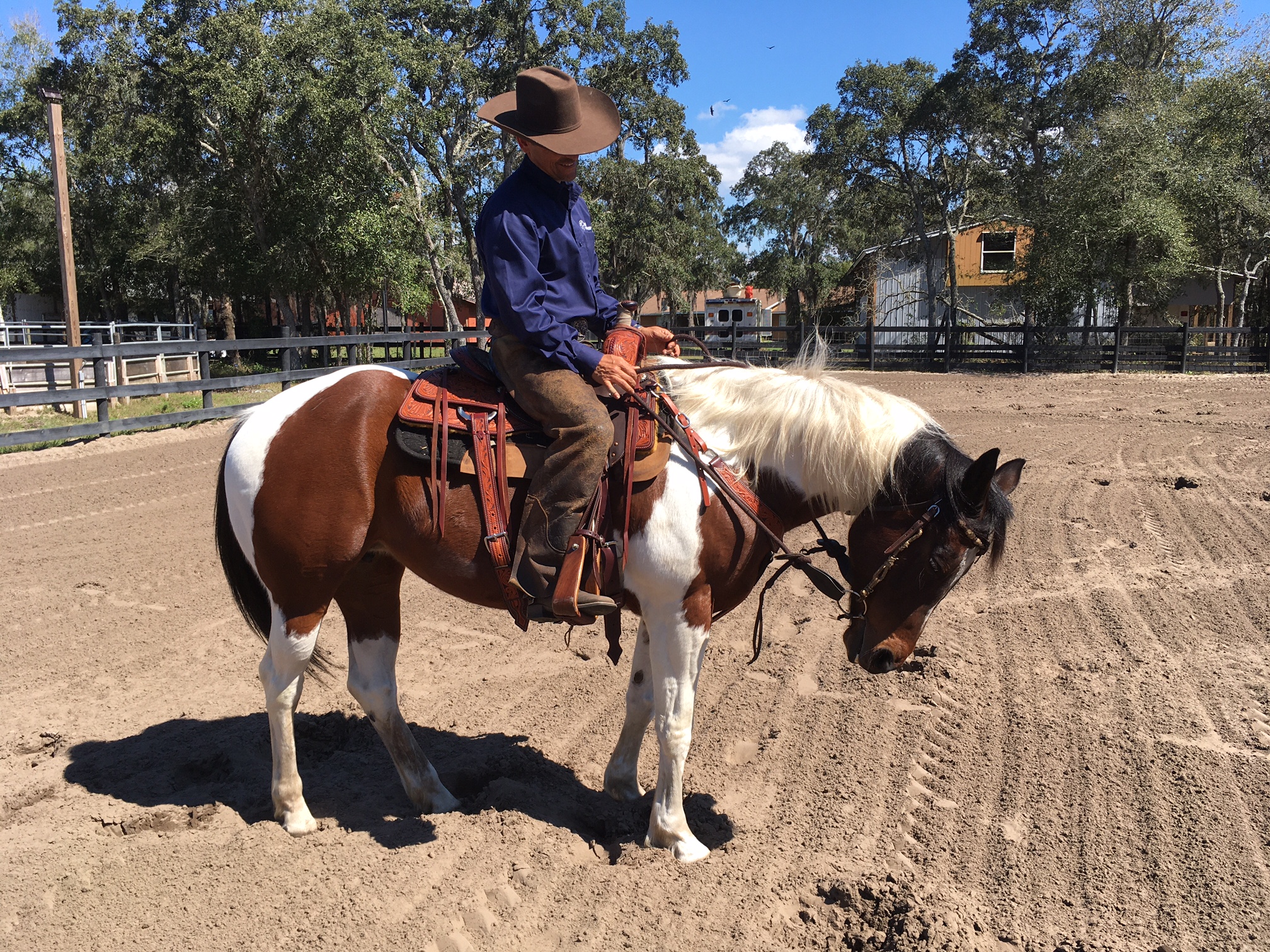 Abel Chirino horsemanship 2
