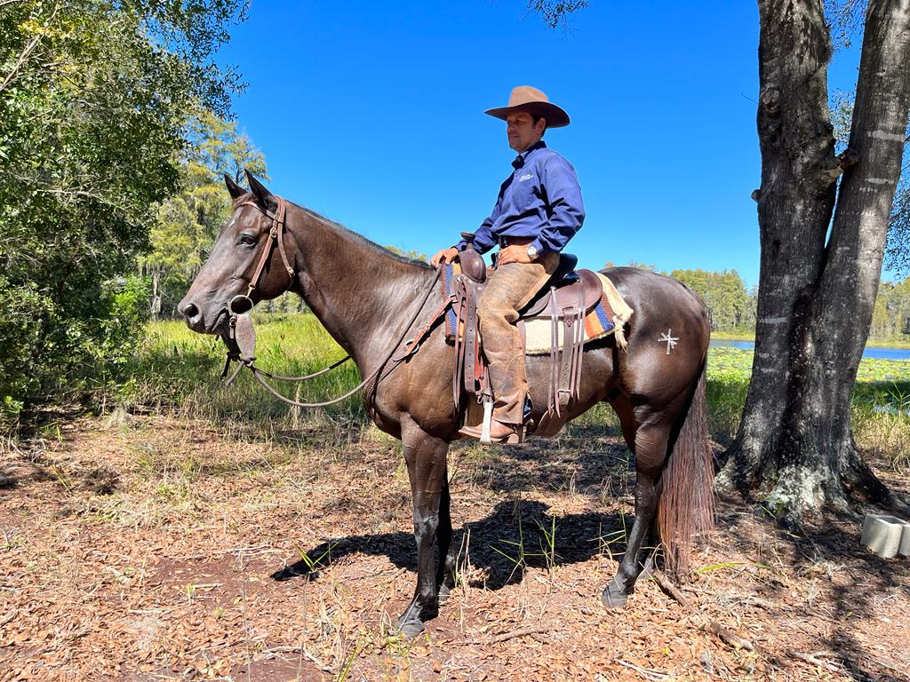 Abel Chirino horsemanship 1