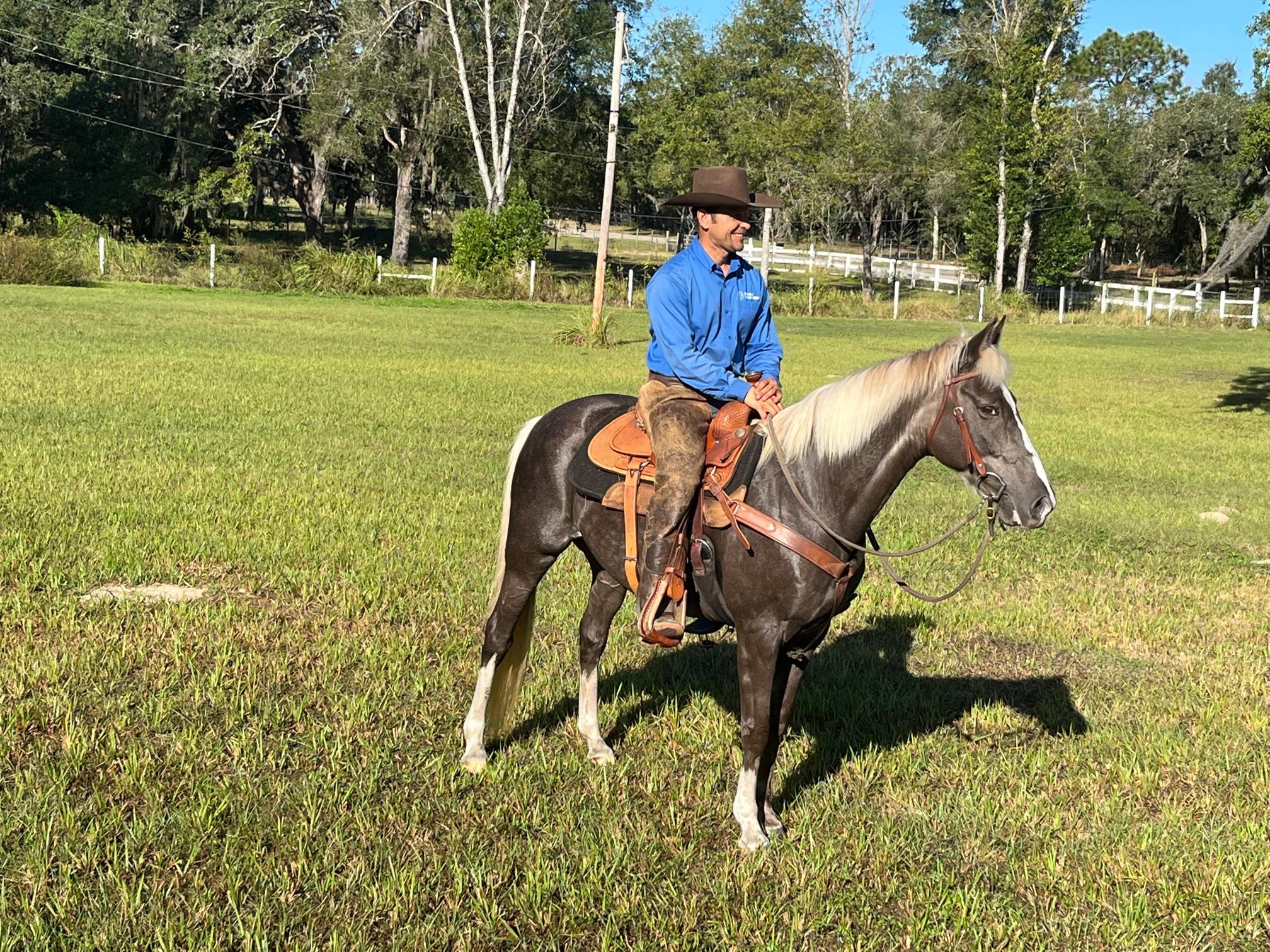 Equestrian training facility shot 5