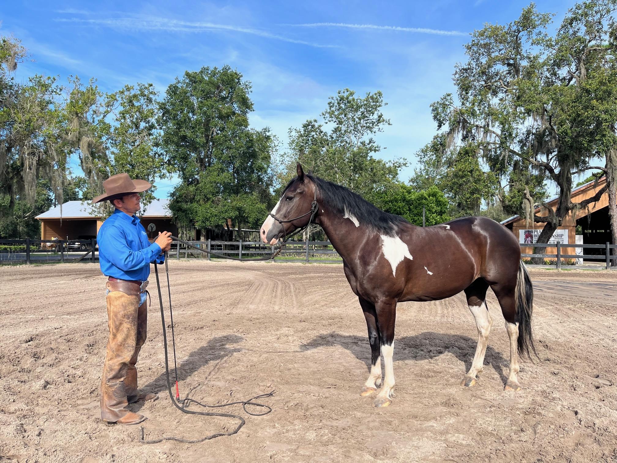 Equestrian training facility shot 1