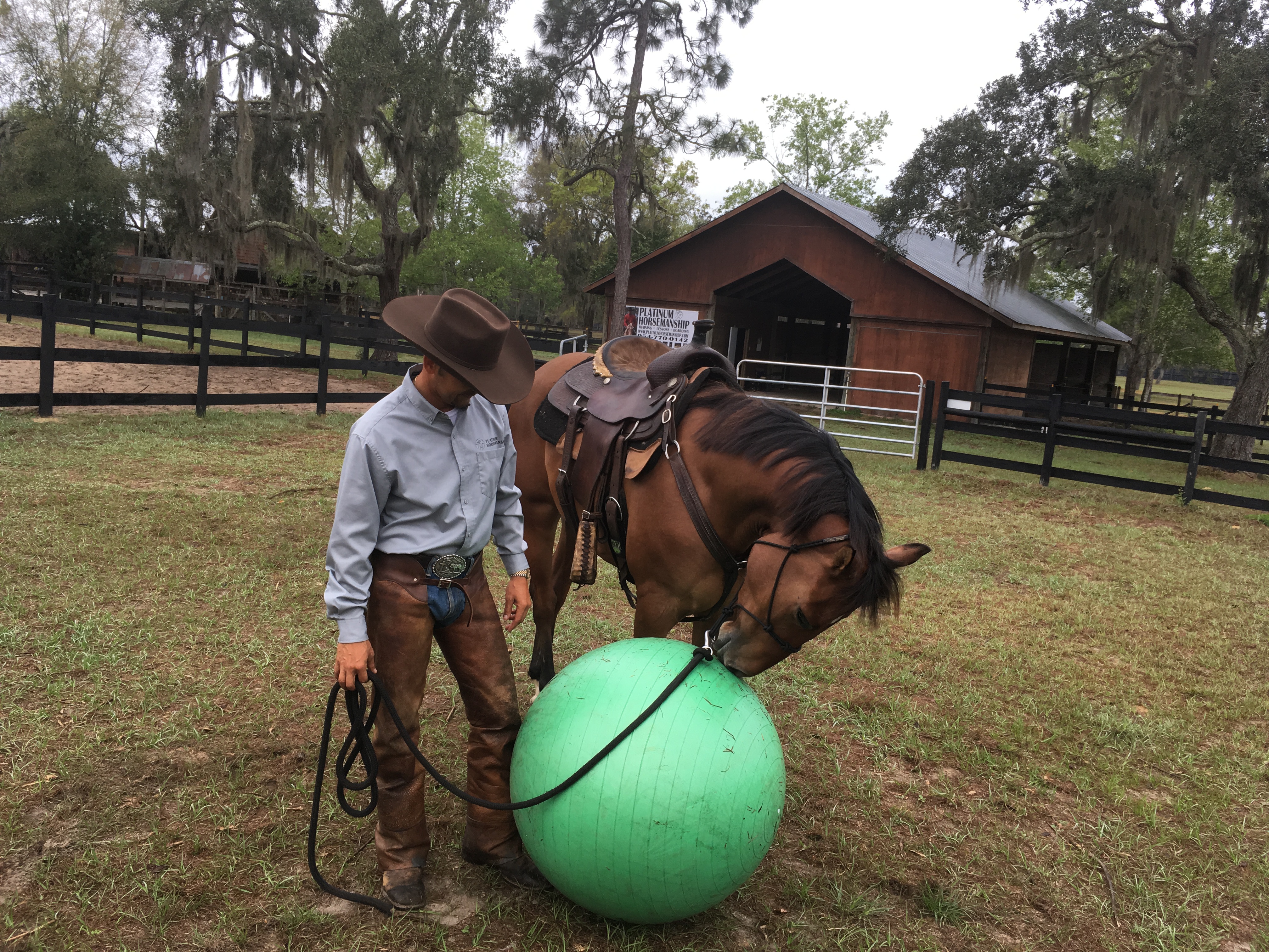 Abel Chirino horsemanship 3