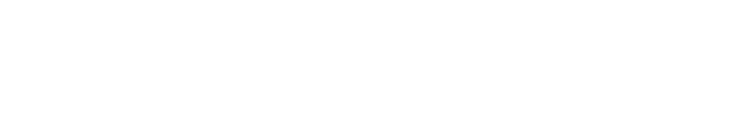 THE IVY LEAD Digital markting for lead generation