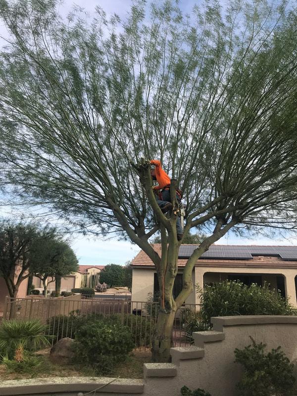 Landscape Contractor in Ventura County