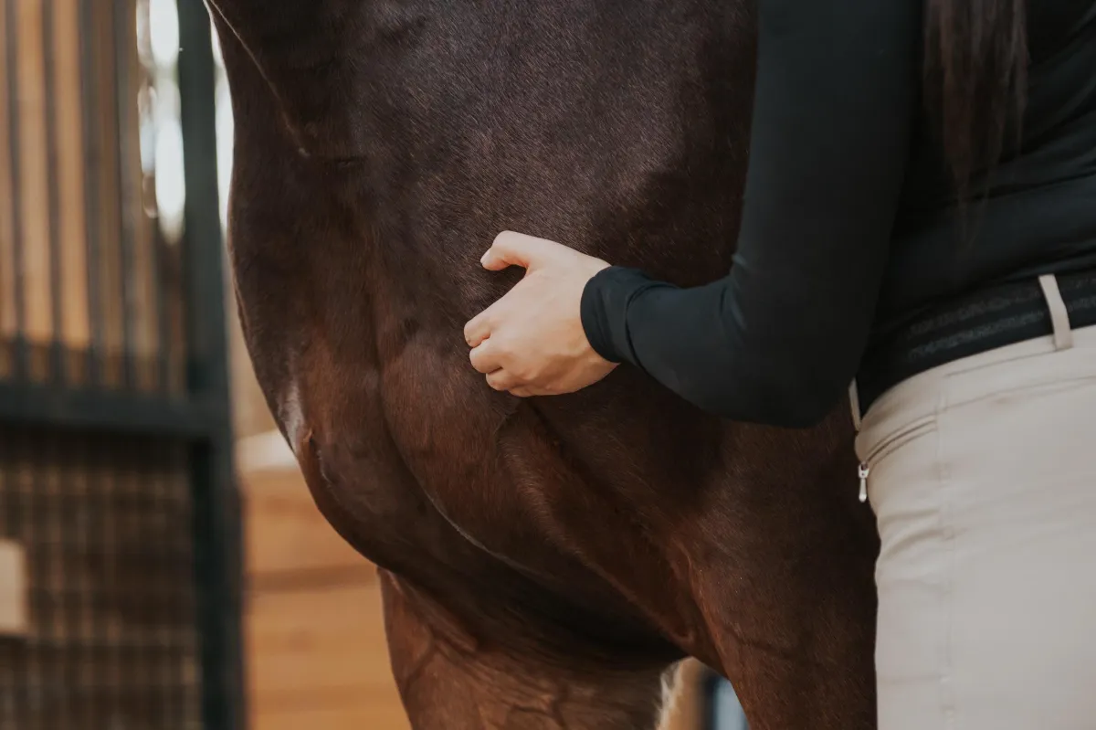 grayscale photography of woman riding on horse