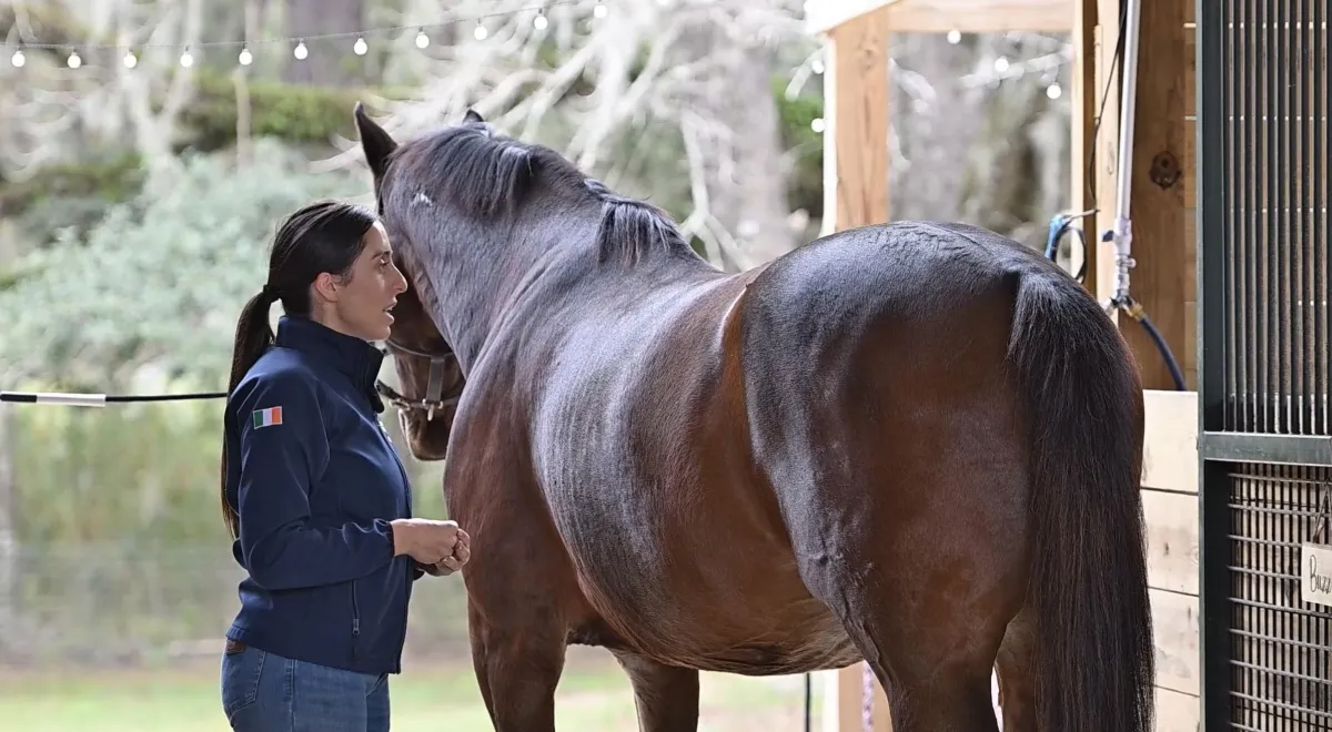 grayscale photography of woman riding on horse
