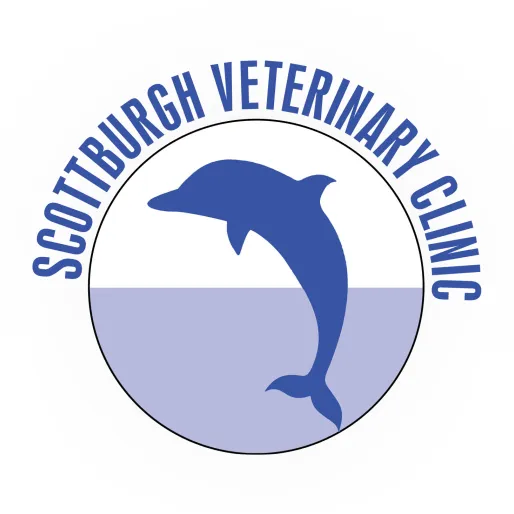 Scottburgh Veterinary Clinic