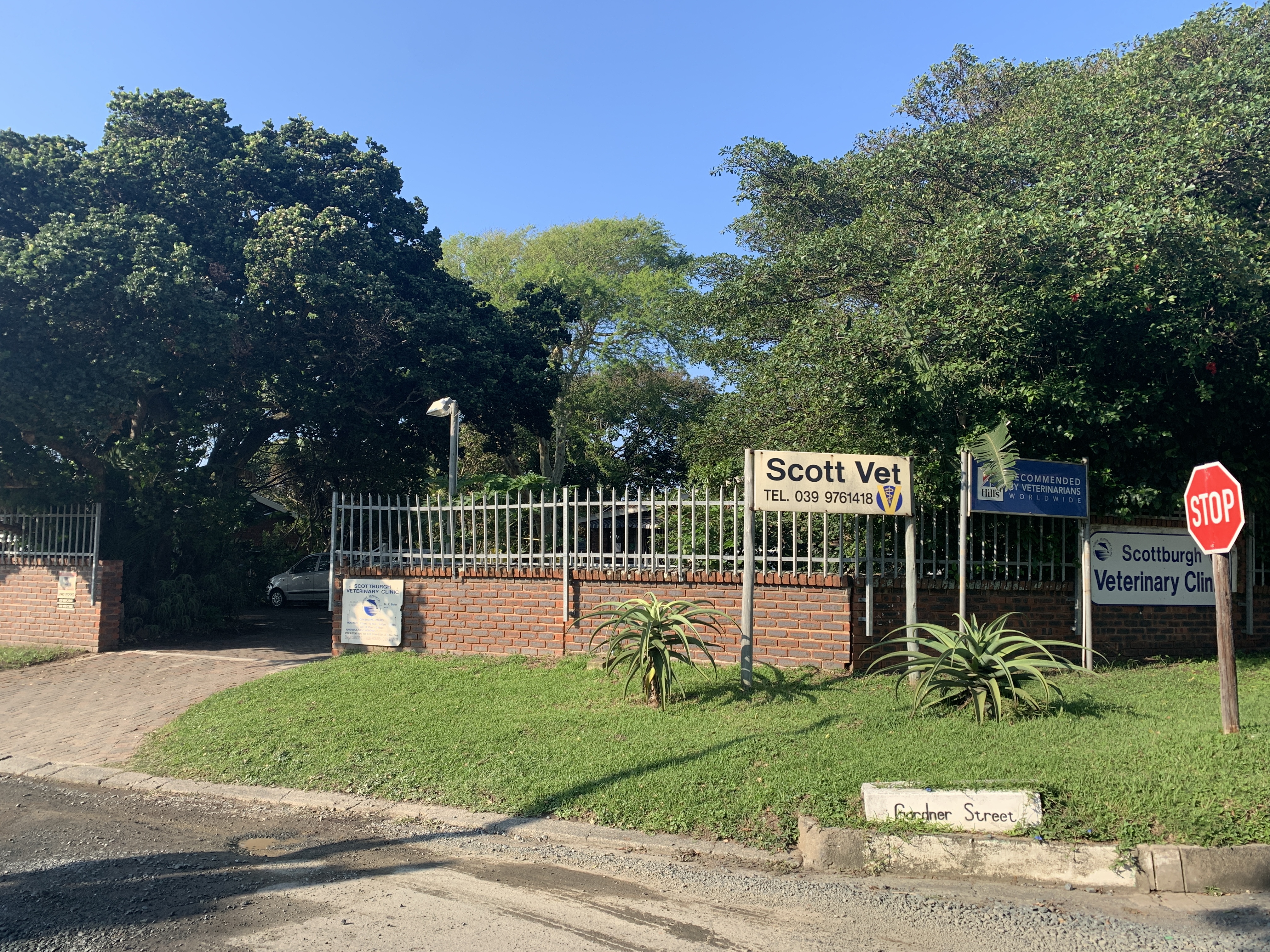 Vet team smiling with a cat and dog in a bright lobby