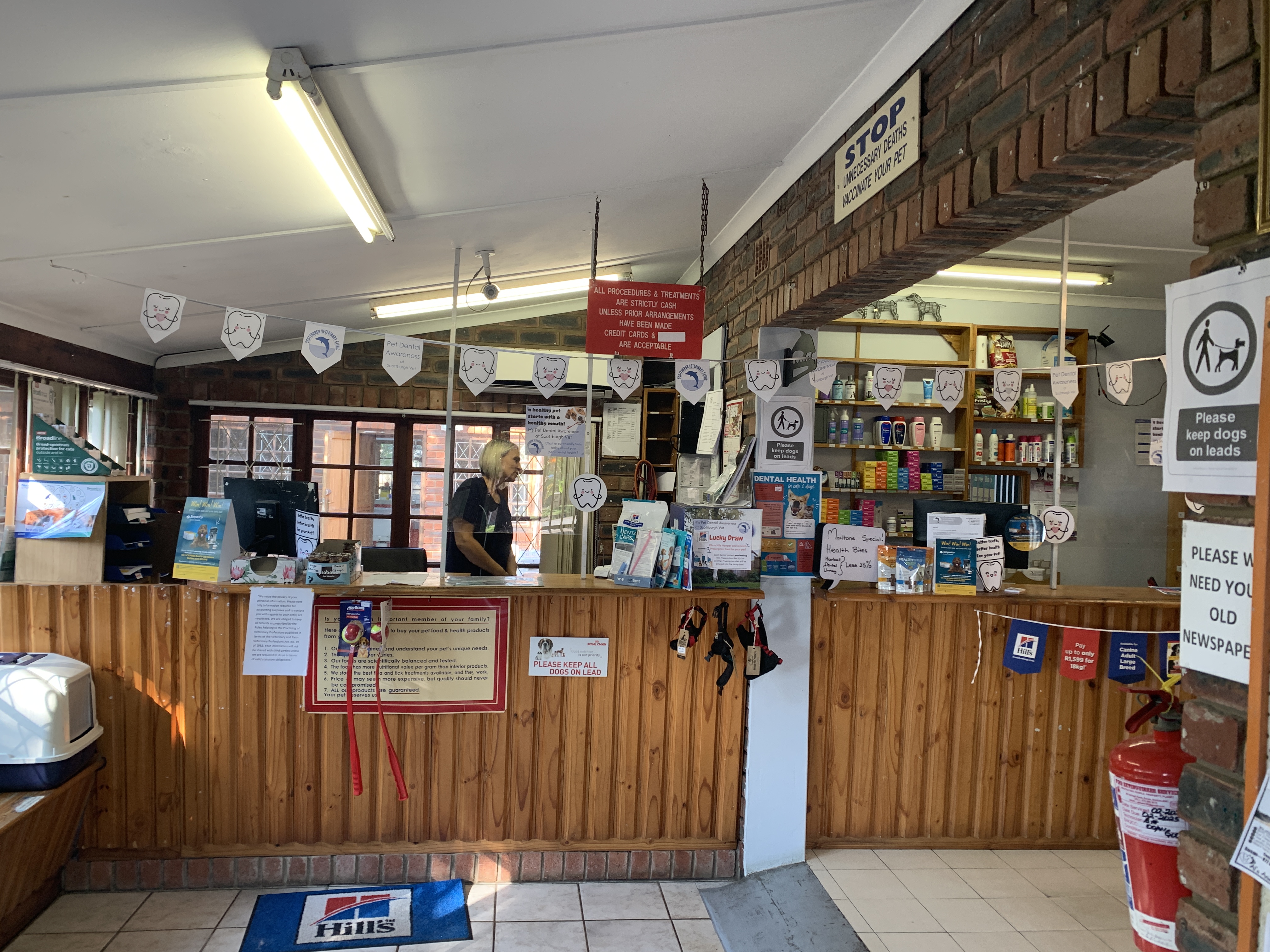 Vet gently examining a happy dog in a bright clinic