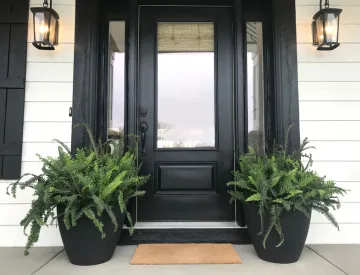 Windows & Doors in Toronto