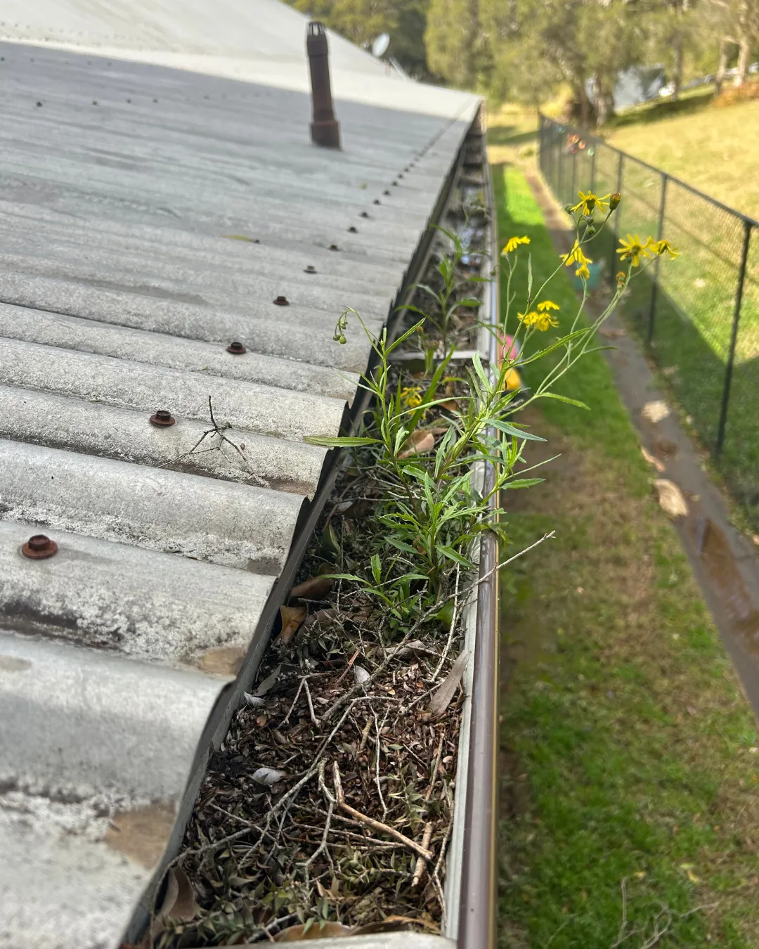 gutter cleaning services perth