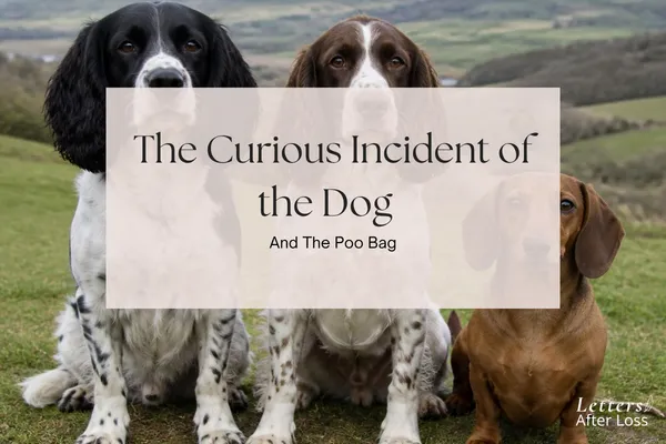 30. The Curious Incident of The Dog and The Poo Bag