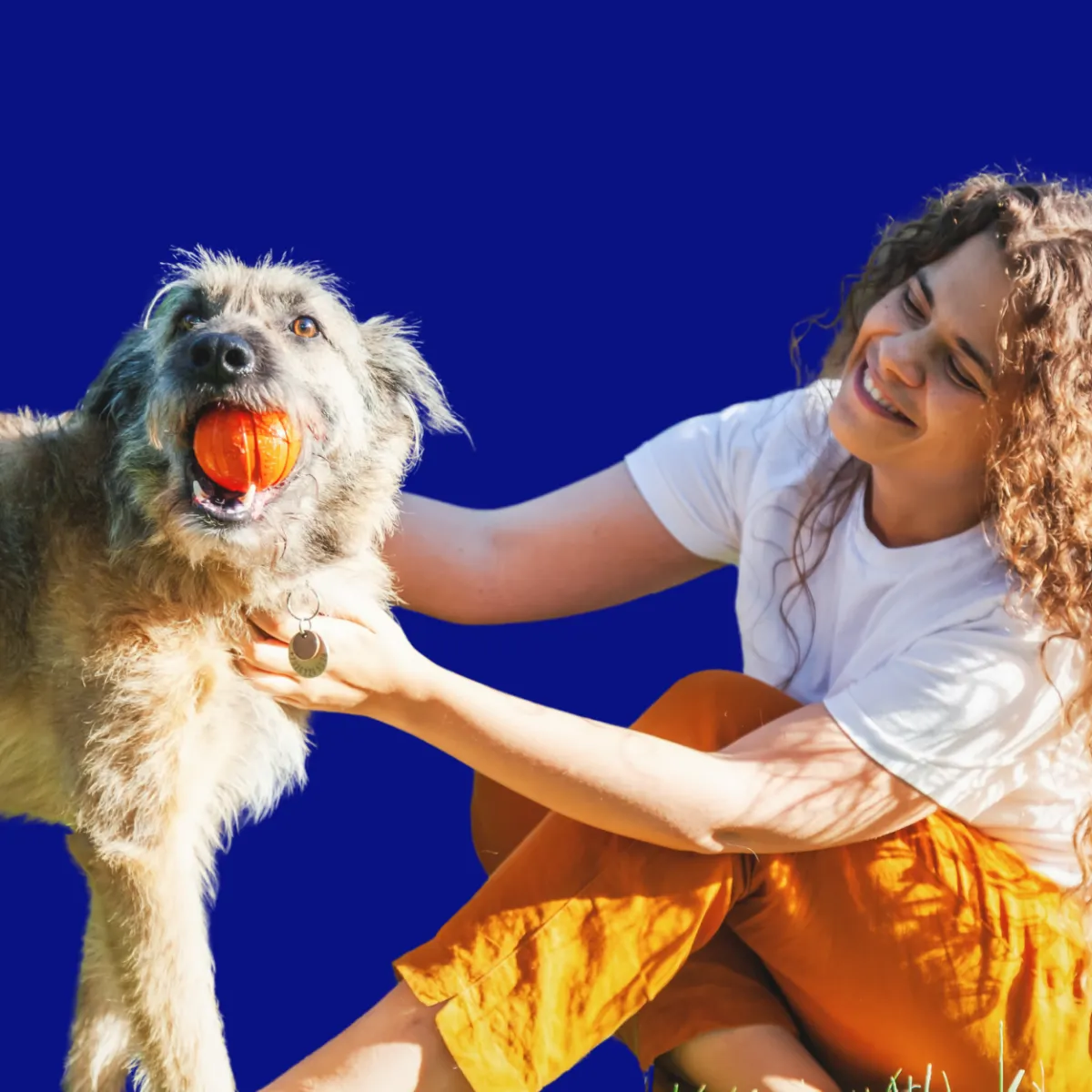 Custom compounded digestive medications for pets at St. Cloud Pharmacy, enhancing gut health and wellness.