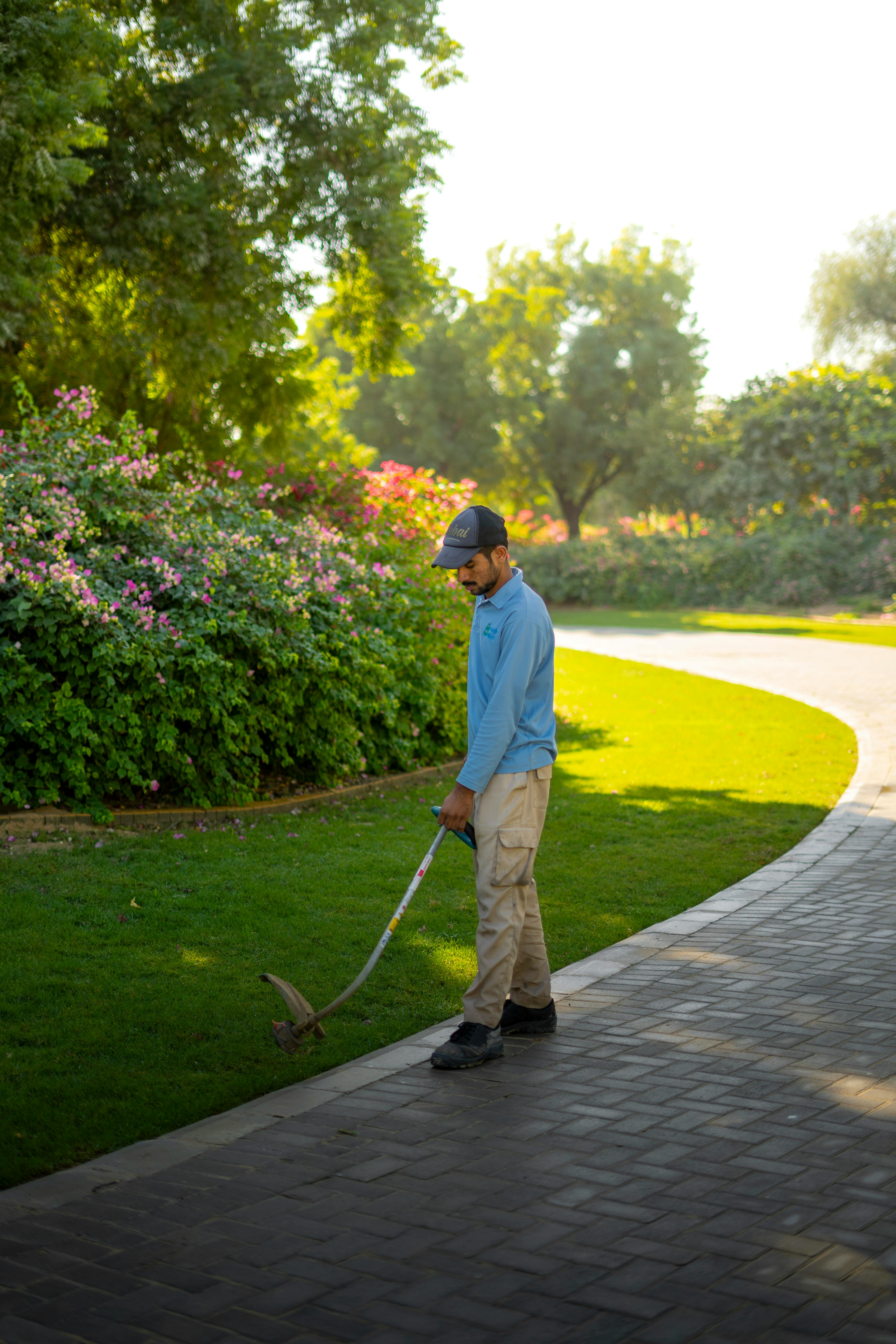 Summer Landscaping Services