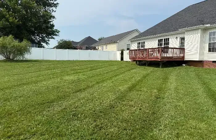 Lawn maintenance