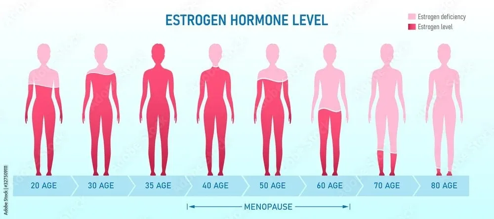 The Gut-Hormone Connection Nobody Is Talking About (And Why Nothing Else Is Working)
