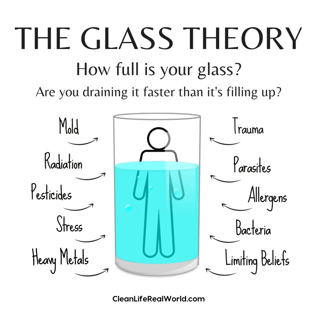 Glass Theory: Toxic Burden & Disease