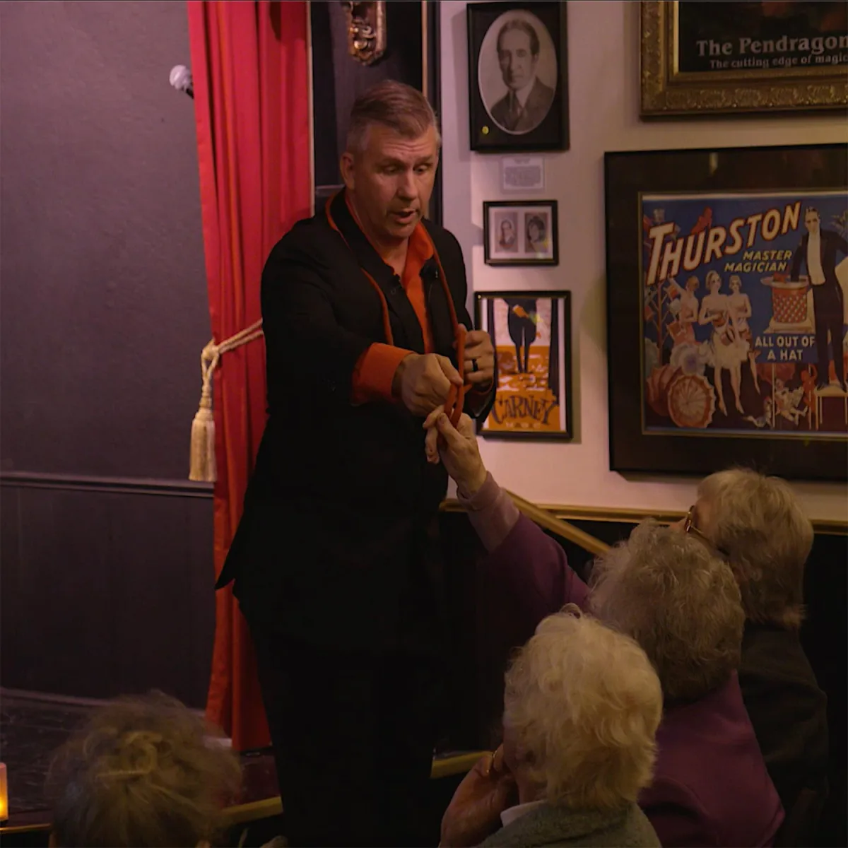 Professional Magic Show