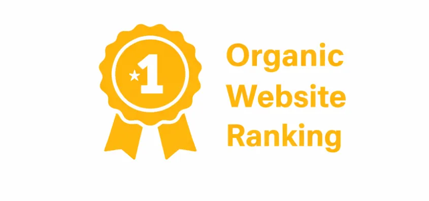 Perth digital marketing results showing number one organic website ranking for customer acquisition