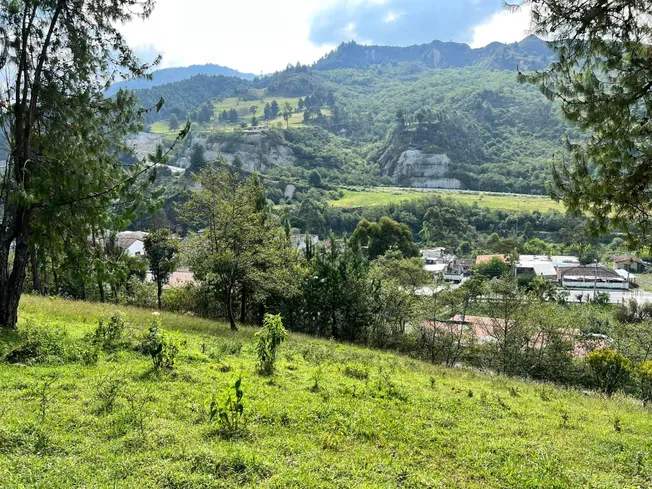 paisaje-naturaleza.jpg